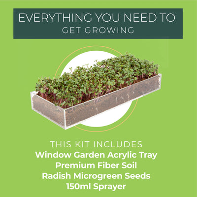 Microgreens Grow Kit - Includes Microgreen Seeds, Fiber Soil, Acrylic Growing Tray