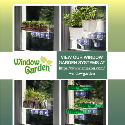 Window Garden Double Veg Ledge Shelf Organic Wheatgrass Kit Bundle (5) -Enough Pre-Measure