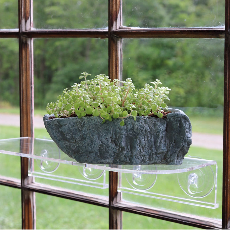 Natural Elements Rock Planter (Basin)  Realistic Woodland-Themed with Intricate Stone