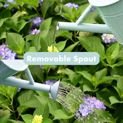 Watering Can - Metal Watering Can With Removable Spout, Perfect Plant Watering Can