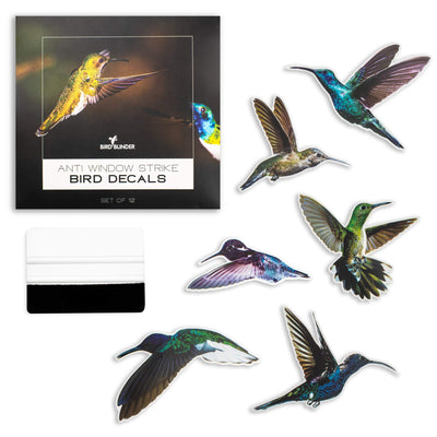 Bird Blinder Colorful Hummingbird Window Stickers (12 pack) - 6 x 8 Inch Anti Strike