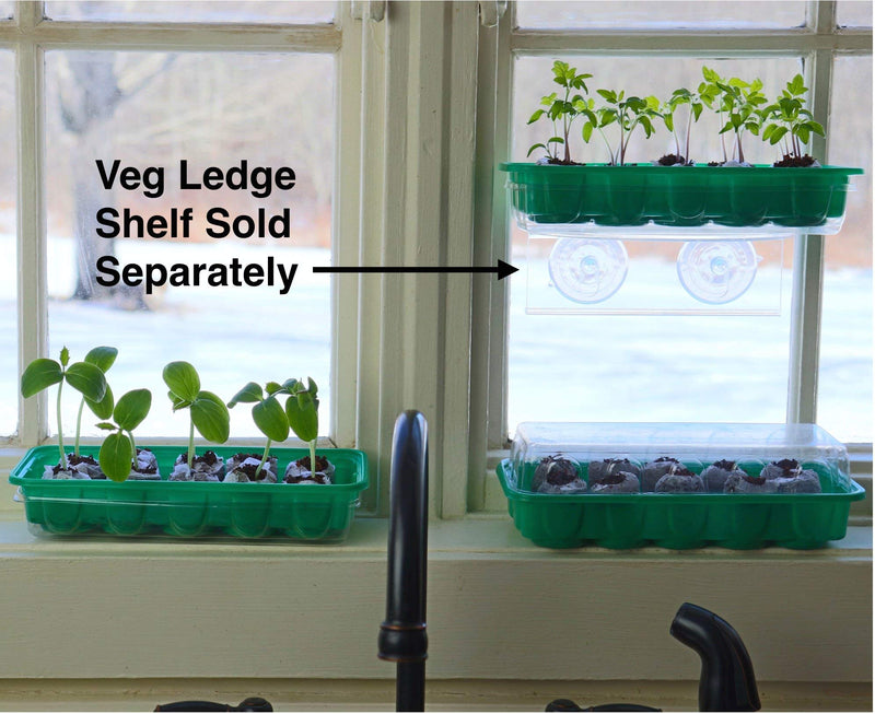 Window Garden - Cucumber Vegetable Starter Kit - Grow Your Own Food. Germinate Seeds