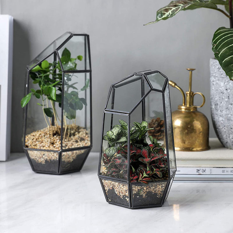 Glass Geometric Terrarium Container 5.3X9.6 inch and 4.8X7.7 inch Tabletop