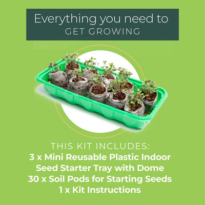 Mini Greenhouse Seed Starter Kit Reusable Plastic Indoor Seed Starter Tray With Dome