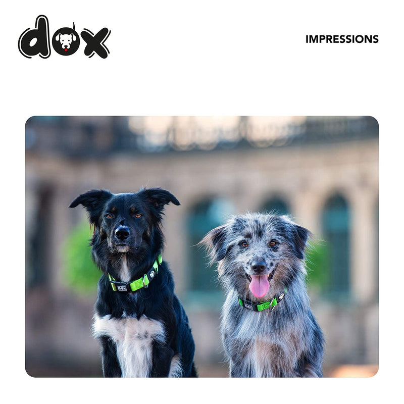 DDOXX Dog Collar Nylon, Adjustable | Many Colors & Sizes | for Small, Medium & Large Dogs