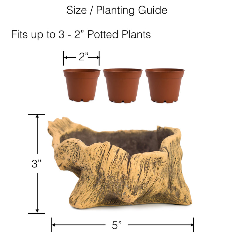 Natural Elements Stump Planter (Squatty)  Realistic Woodland-Themed with Intricate