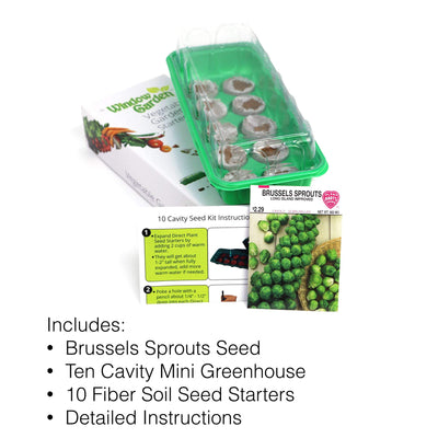 Window Garden - Brussel Sprouts Vegetable Starter Kit - Grow Your Own Food. Germinate Seed