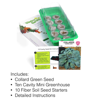 Lard Greens Vegetable Ter Kit  Grow Your Own Food Germinate Seed