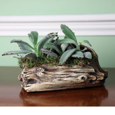 Natural Elements Log Planter (Trunk)  Realistic Woodland-Themed with Intricate