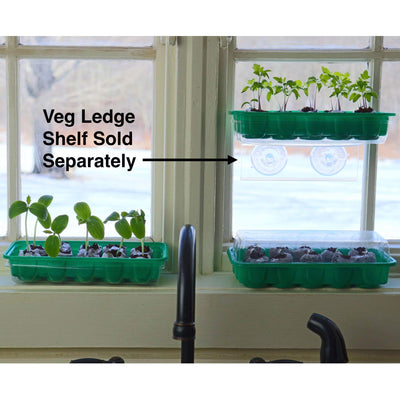 Window Garden - Arugula Vegetable Starter Kit - Grow Your Own Food. Germinate Seeds