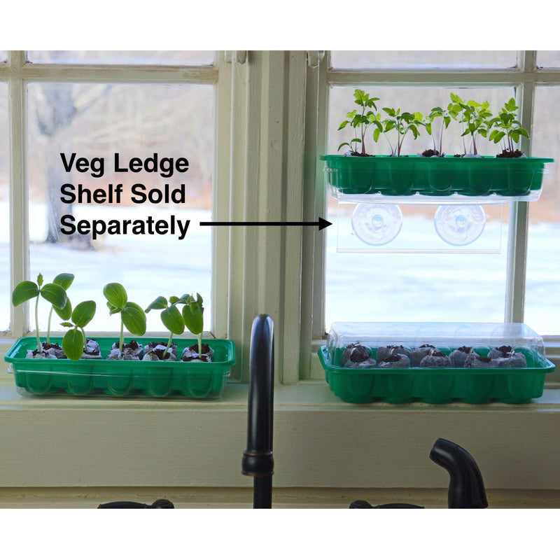 Window Garden - Arugula Vegetable Starter Kit - Grow Your Own Food. Germinate Seeds