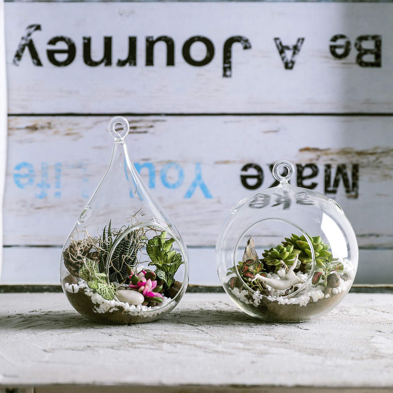 Glass Hanging Terrarium Set Of 3 In Large Size- Succulent/Moss/Air Plant Terrarium - 3