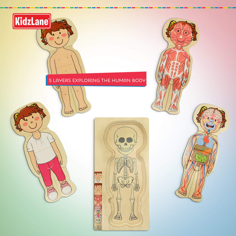 Kidzlane Wooden My Body Puzzle for Toddlers & Kids - 29 Piece Girls Anatomy Play Set Ages