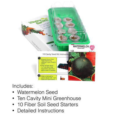 Window Garden - Cucumber Vegetable Starter Kit - Grow Your Own Food. Germinate Seeds