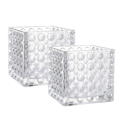 Square Glass Cube Vase (2, 6