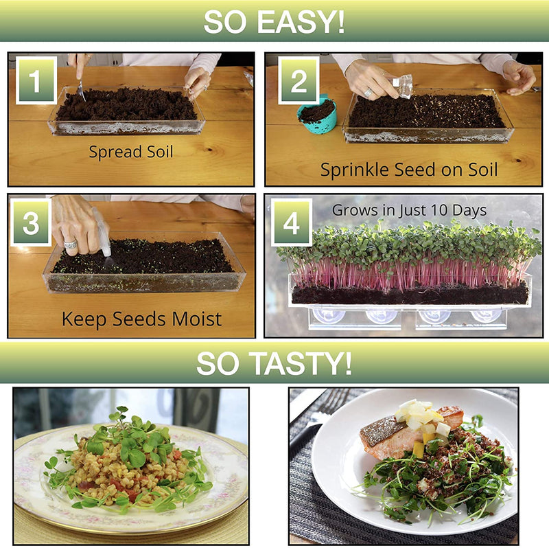 Window Garden Microgreens Grow Kit - Includes Microgreen Seeds (3 Crops), Fiber Soil