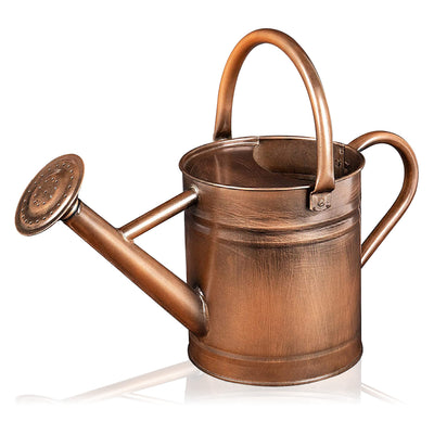 Watering Can - Metal Watering Can With Removable Spout, Perfect Plant Watering Can