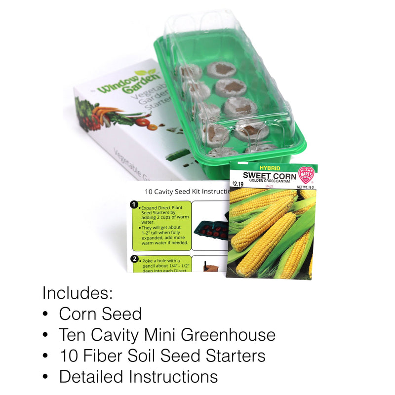 Window Garden - Corn Vegetable Starter Kit - Grow Your Own Food. Germinate Seeds on Your