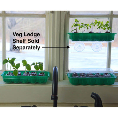 Window Garden - Cucumber Vegetable Starter Kit - Grow Your Own Food. Germinate Seeds