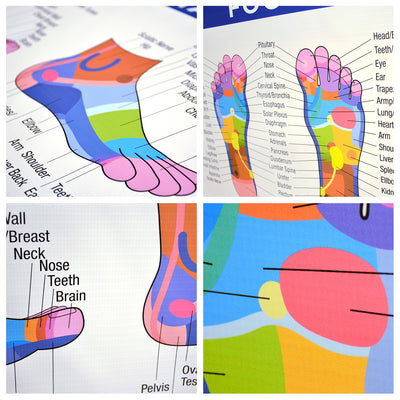 Foot Reflexology Poster Vinyl Banner | 54 x 17.25 Reflexology Chart Color