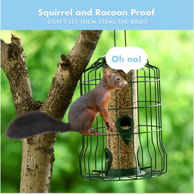 Squirrel Resistant Metal Bird Feeder - Heavy Duty Hanging Caged Tube Bird Feeder