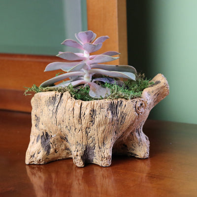 Natural Elements Stump Planter (Squatty)  Realistic Woodland-Themed with Intricate