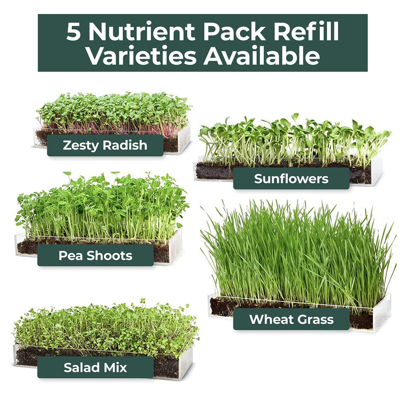 Microgreens Grow Kit - Includes Microgreen Seeds, Fiber Soil, Acrylic Growing Tray