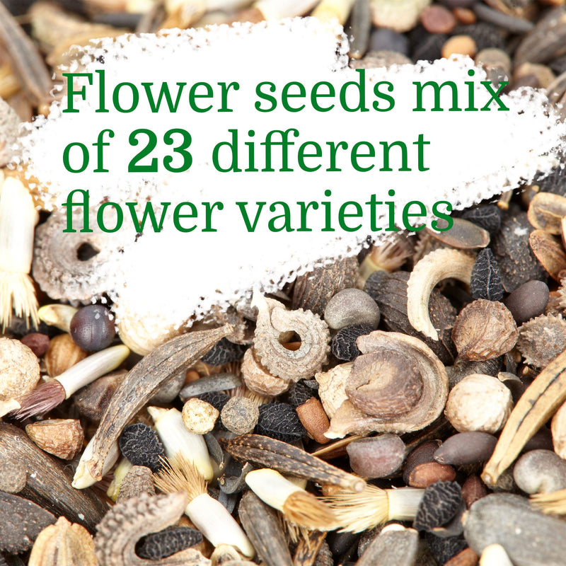 Bee Kind  Premium Bee Friendly Wildflower Seeds Mix: Approx. 10,000 Seeds for Planting