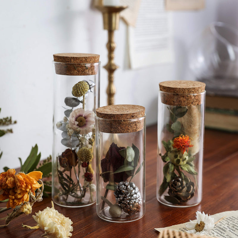 Empty Refillable Borosilicate Glass Bottles Vials Jars,Glass Test Tube with Cork Caps