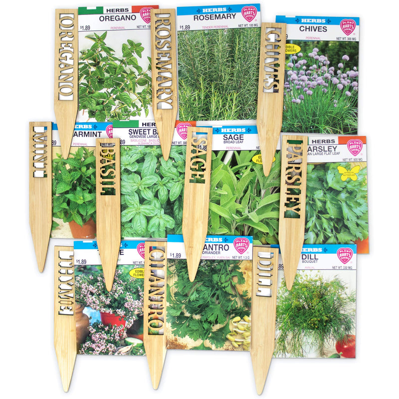 Window Garden Herb Seeds - 10 Popular Varieties for Indoor or Outdoor Planting, Growing