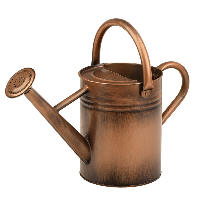 Watering Can - Metal Watering Can With Removable Spout, Perfect Plant Watering Can