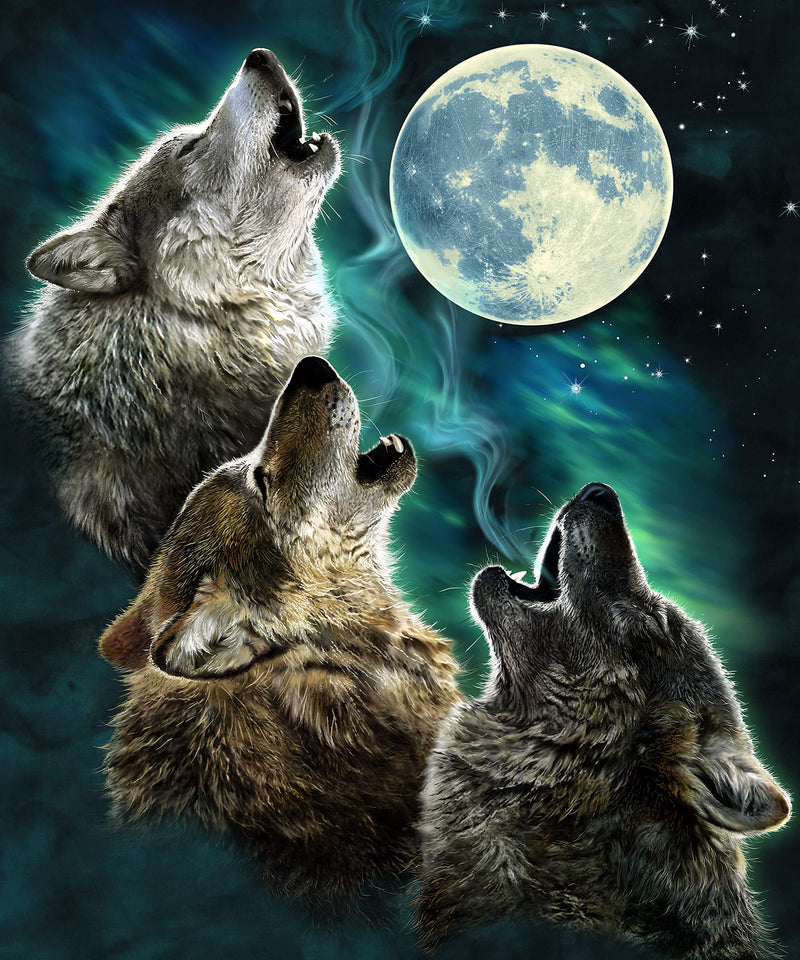 Super Soft Plush Fleece Throw Blanket (Eclipse Wolves