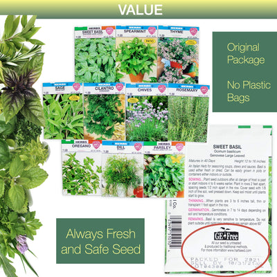 Window Garden Herb Seeds - 10 Popular Varieties for Indoor or Outdoor Planting, Growing