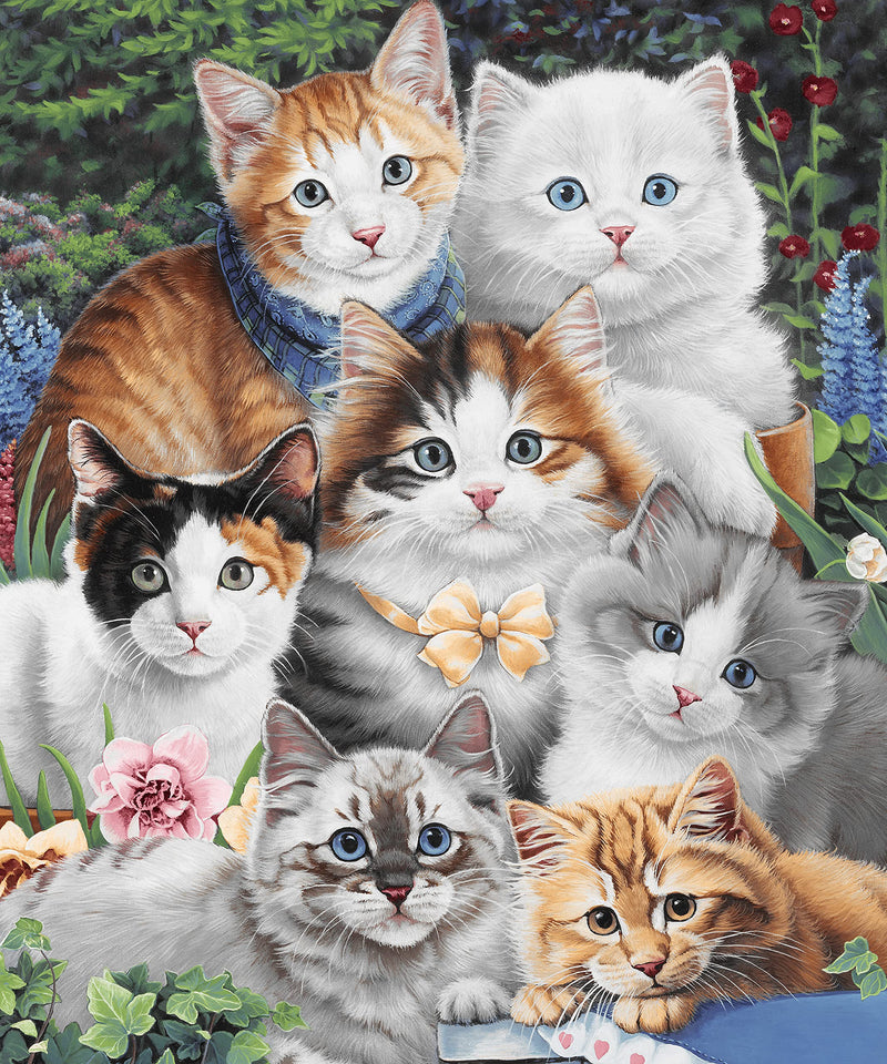 Dawhud Direct Kittens Flower Garden Super Soft Plush Fleece Throw Blanket by Jenny