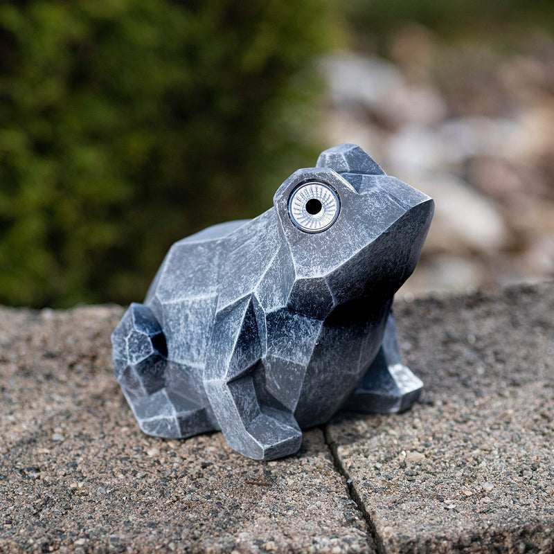 VP Home Geo Hip Hop Frog Solar Powered LED Outdoor Decor Garden