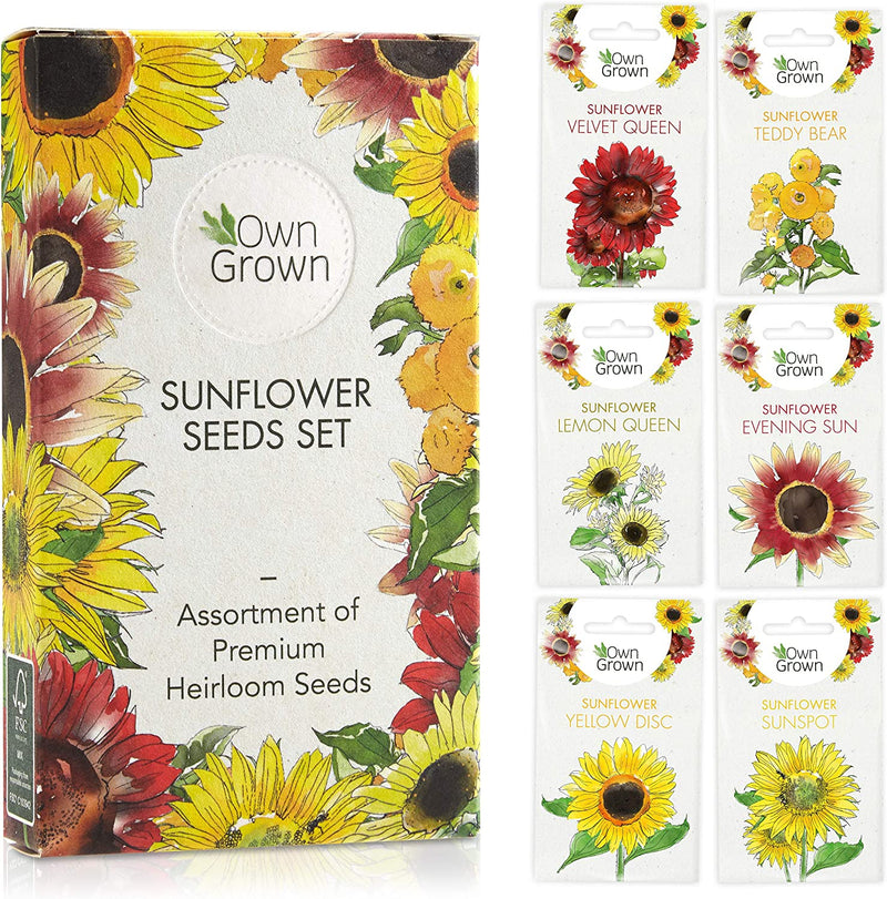 Sunflower Seeds to Plant: Premium Sunflower Seeds Set with 6 Varieties  GMO Free